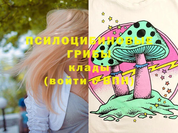 прущий лед Бородино