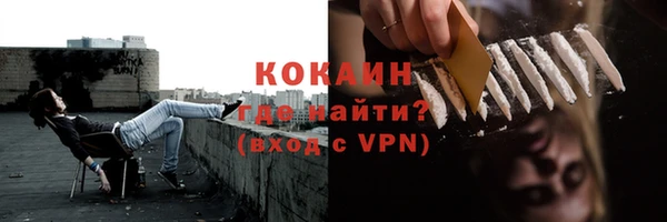 прущий лед Бородино
