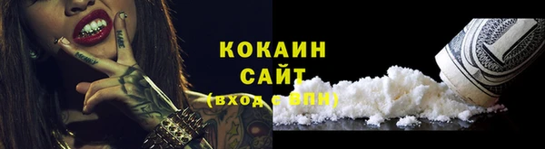 прущий лед Бородино