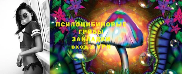 прущий лед Бородино