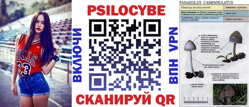 Галлюциногенные грибы Cubensis  Когалым 