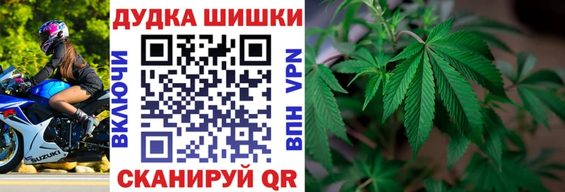 Конопля Amnesia  Когалым 